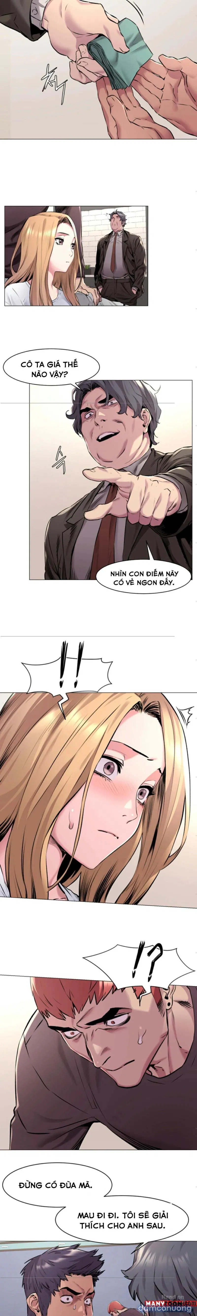 Vương Quốc Của Tôi 
