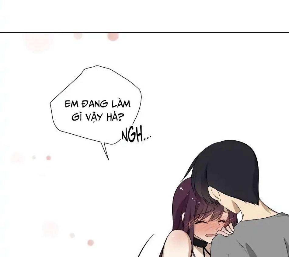 Căn Phòng Xấu Hổ 