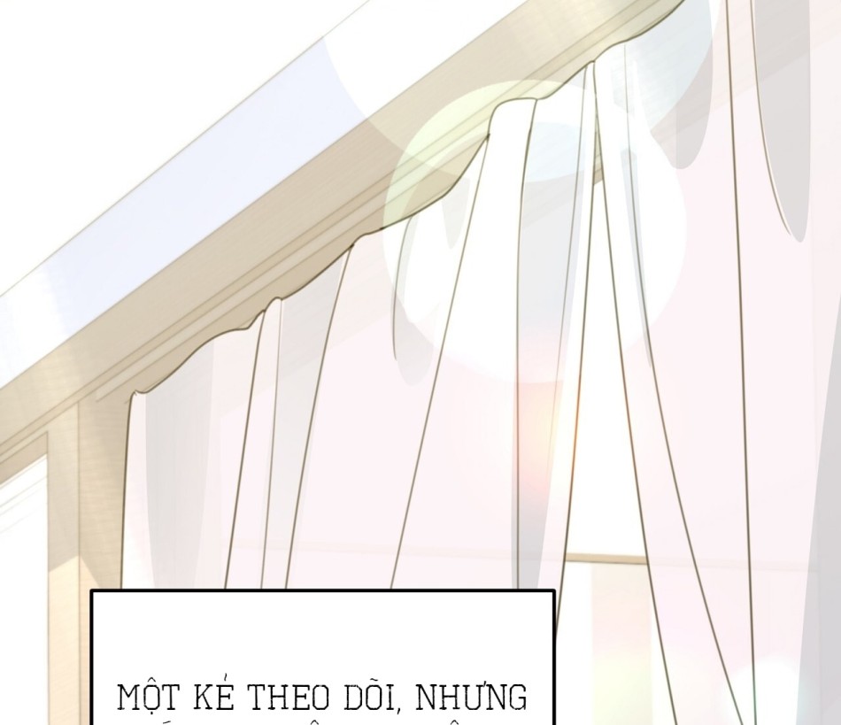 KẺ THEO DÕI ĐÃ BỊ MẮC BẪY 