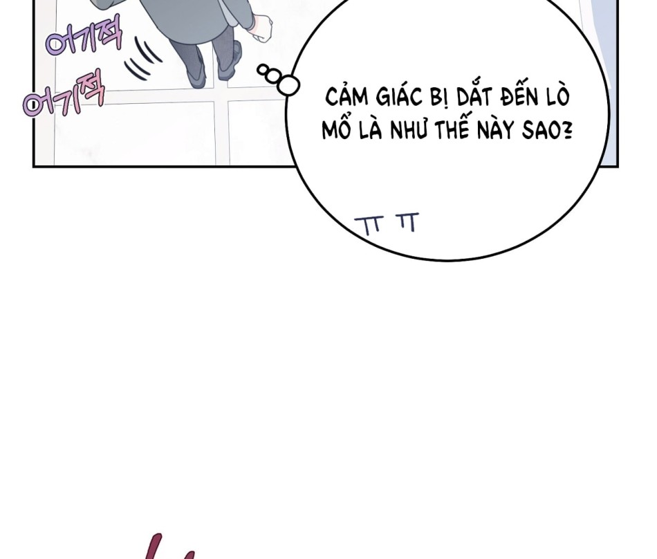 KẺ THEO DÕI ĐÃ BỊ MẮC BẪY 