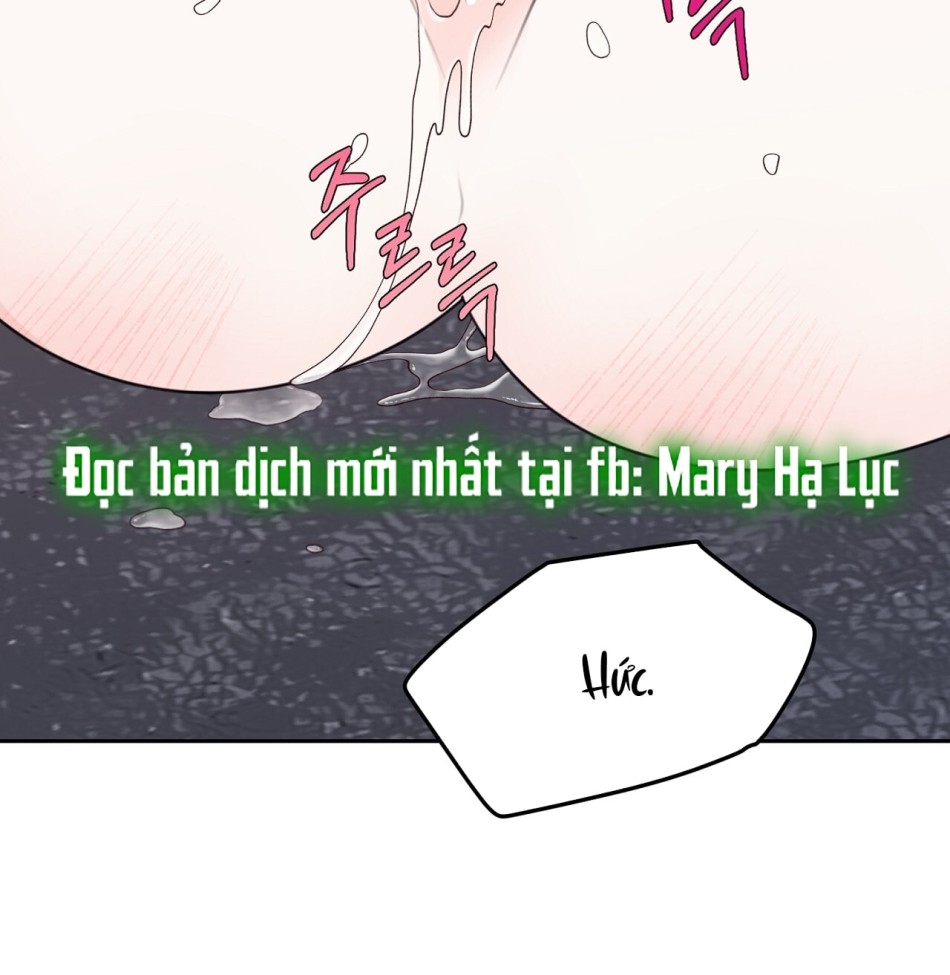 KẺ THEO DÕI ĐÃ BỊ MẮC BẪY 