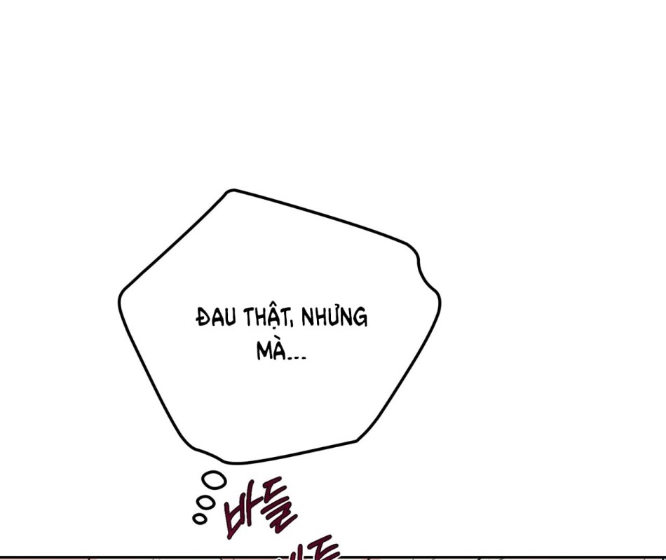 KẺ THEO DÕI ĐÃ BỊ MẮC BẪY 