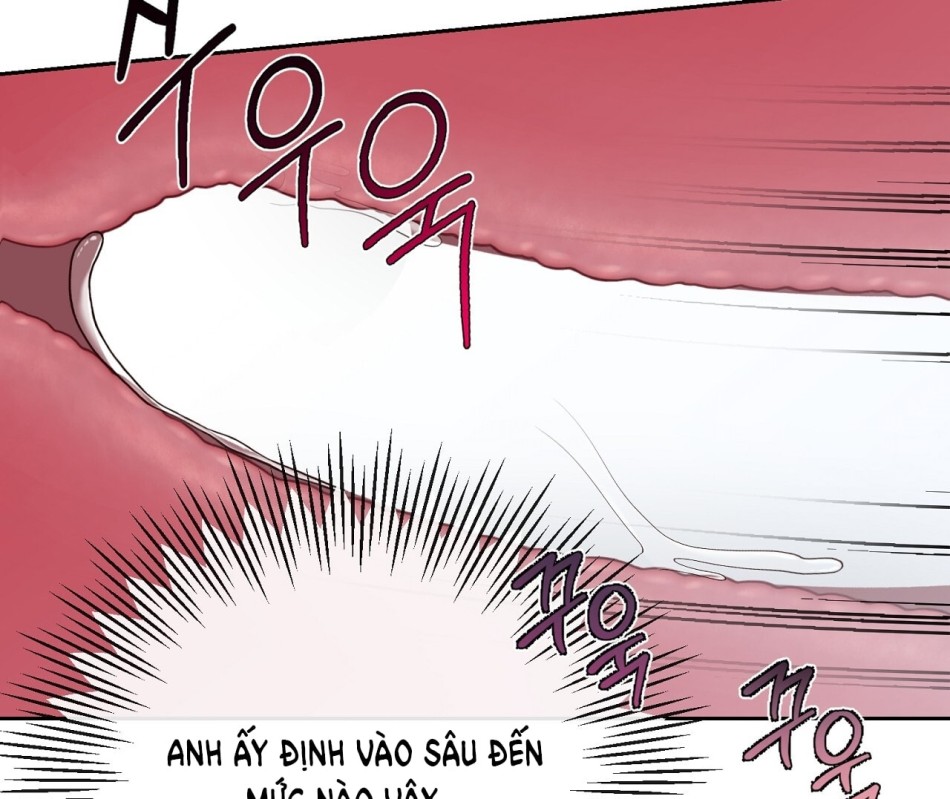 KẺ THEO DÕI ĐÃ BỊ MẮC BẪY 