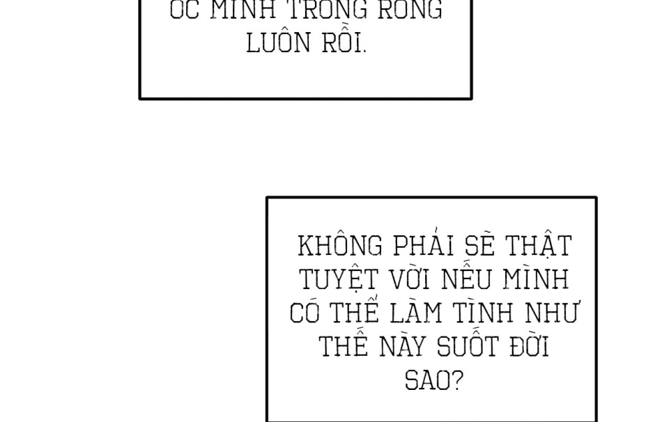 KẺ THEO DÕI ĐÃ BỊ MẮC BẪY 