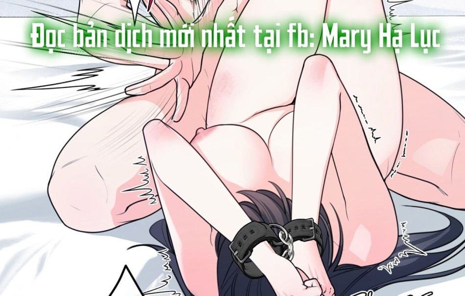 KẺ THEO DÕI ĐÃ BỊ MẮC BẪY 
