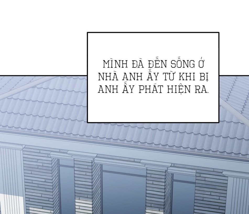 KẺ THEO DÕI ĐÃ BỊ MẮC BẪY 
