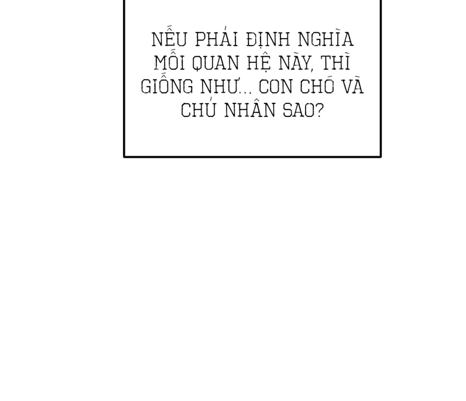 KẺ THEO DÕI ĐÃ BỊ MẮC BẪY 