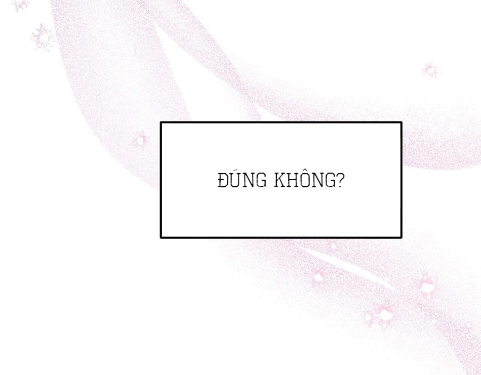 KẺ THEO DÕI ĐÃ BỊ MẮC BẪY 