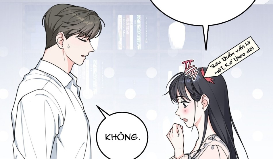 KẺ THEO DÕI ĐÃ BỊ MẮC BẪY 