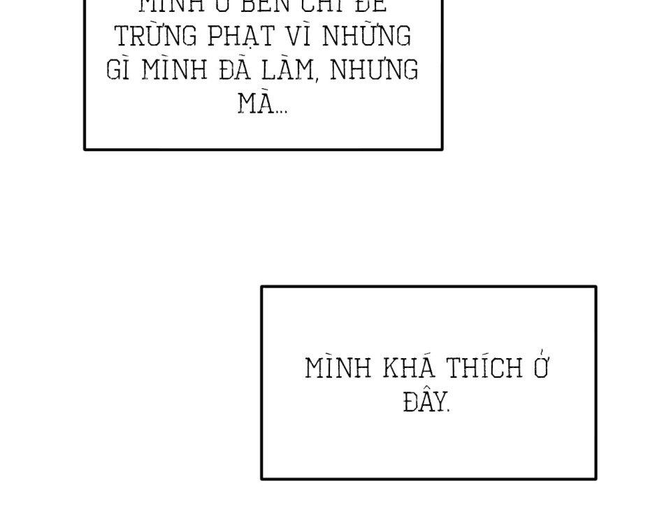 KẺ THEO DÕI ĐÃ BỊ MẮC BẪY 