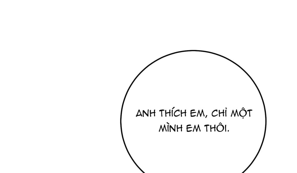 KẺ THEO DÕI ĐÃ BỊ MẮC BẪY 