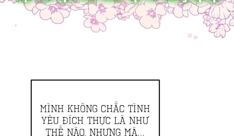 KẺ THEO DÕI ĐÃ BỊ MẮC BẪY 