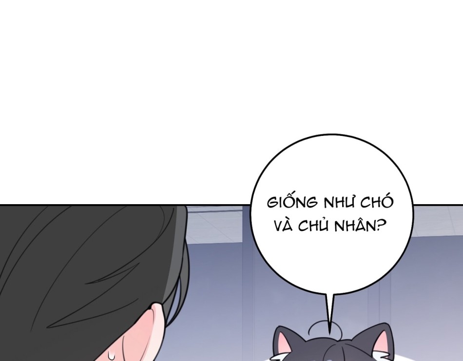 KẺ THEO DÕI ĐÃ BỊ MẮC BẪY 