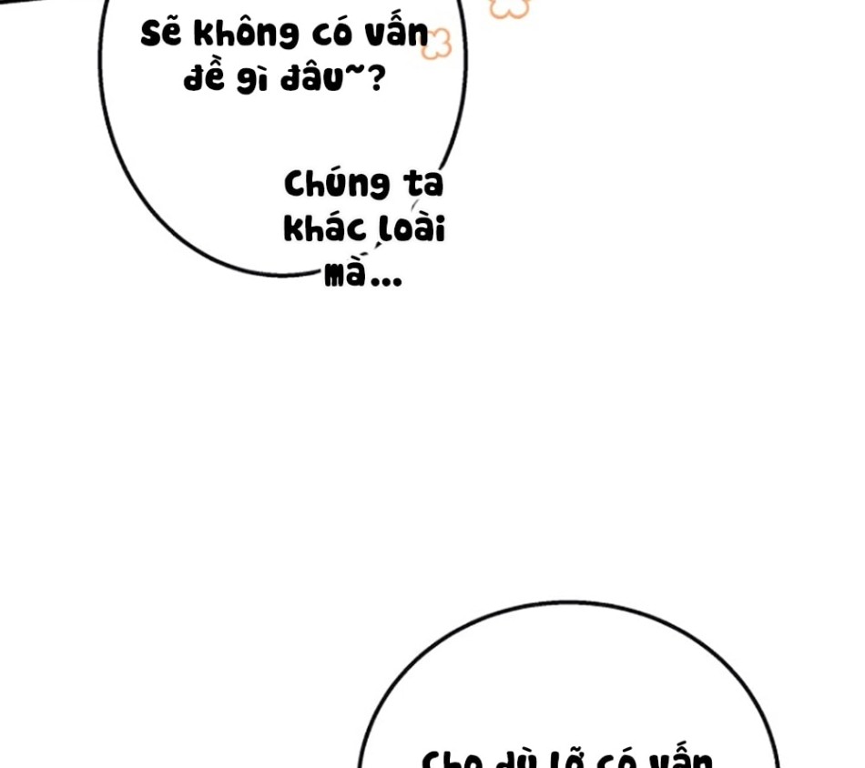 CHÚ CÁ KỲ LẠ 