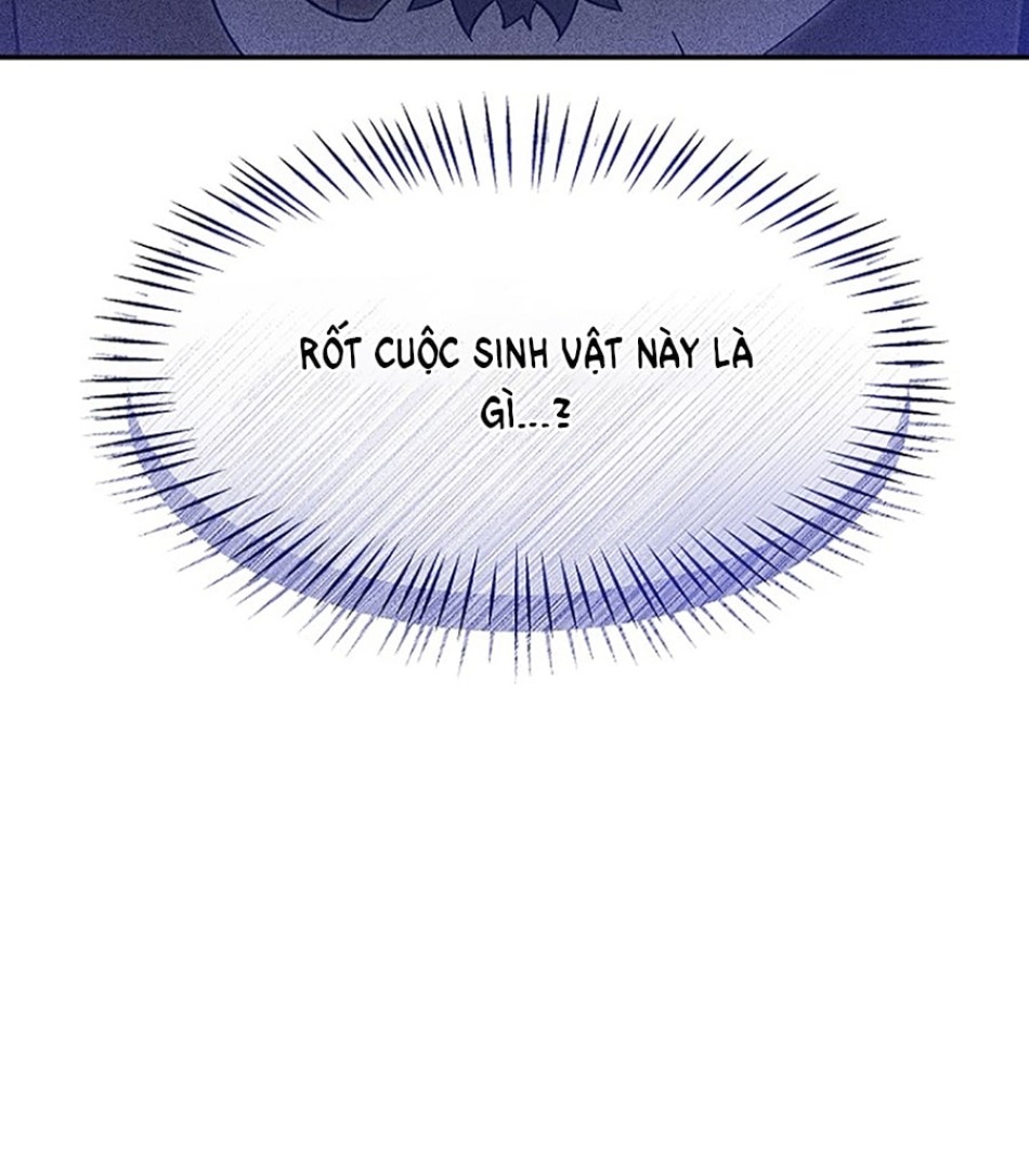 CHÚ CÁ KỲ LẠ 