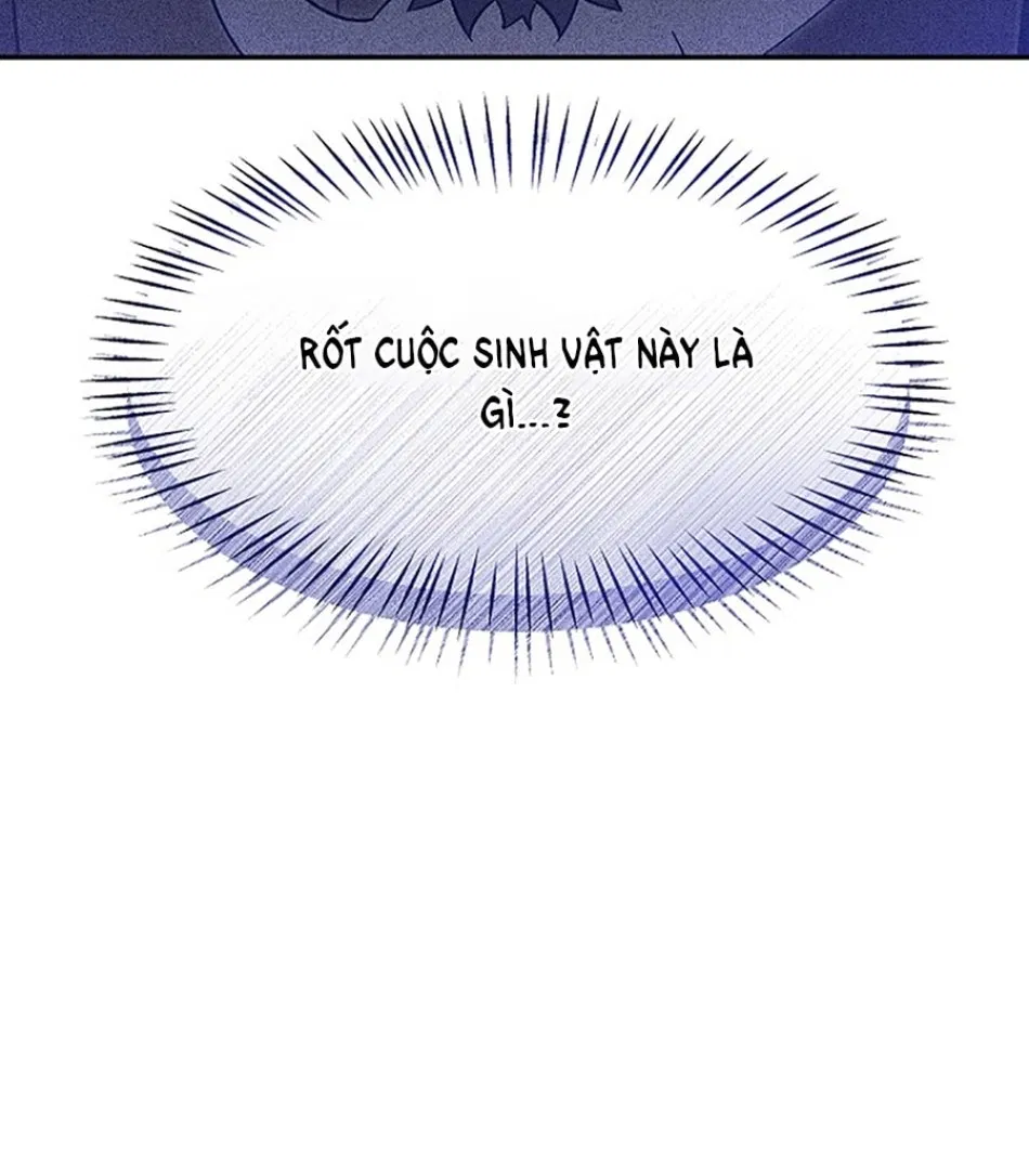 CHÚ CÁ KỲ LẠ 