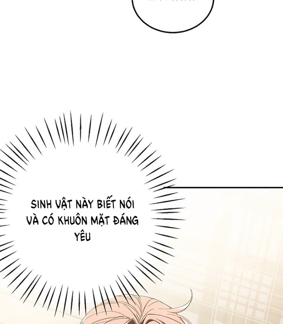 CHÚ CÁ KỲ LẠ 
