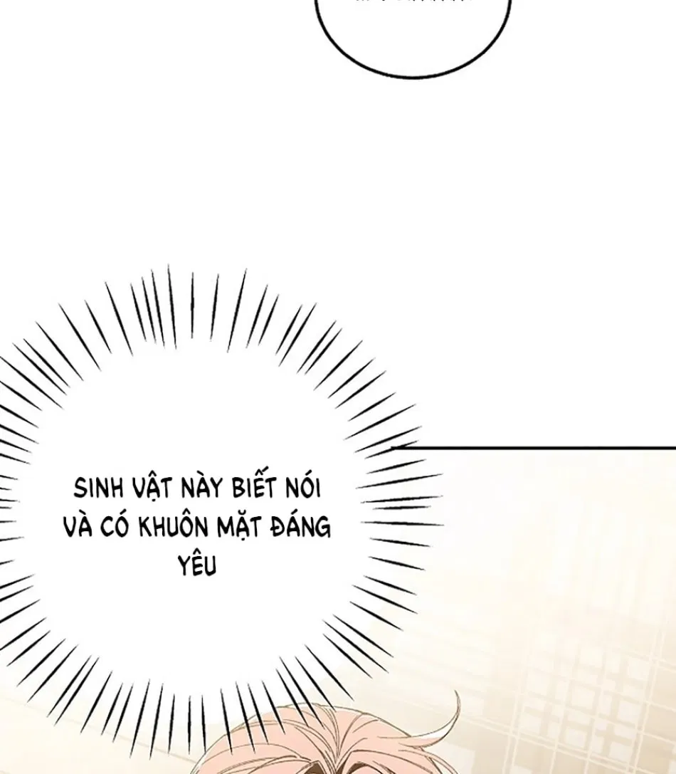 CHÚ CÁ KỲ LẠ 