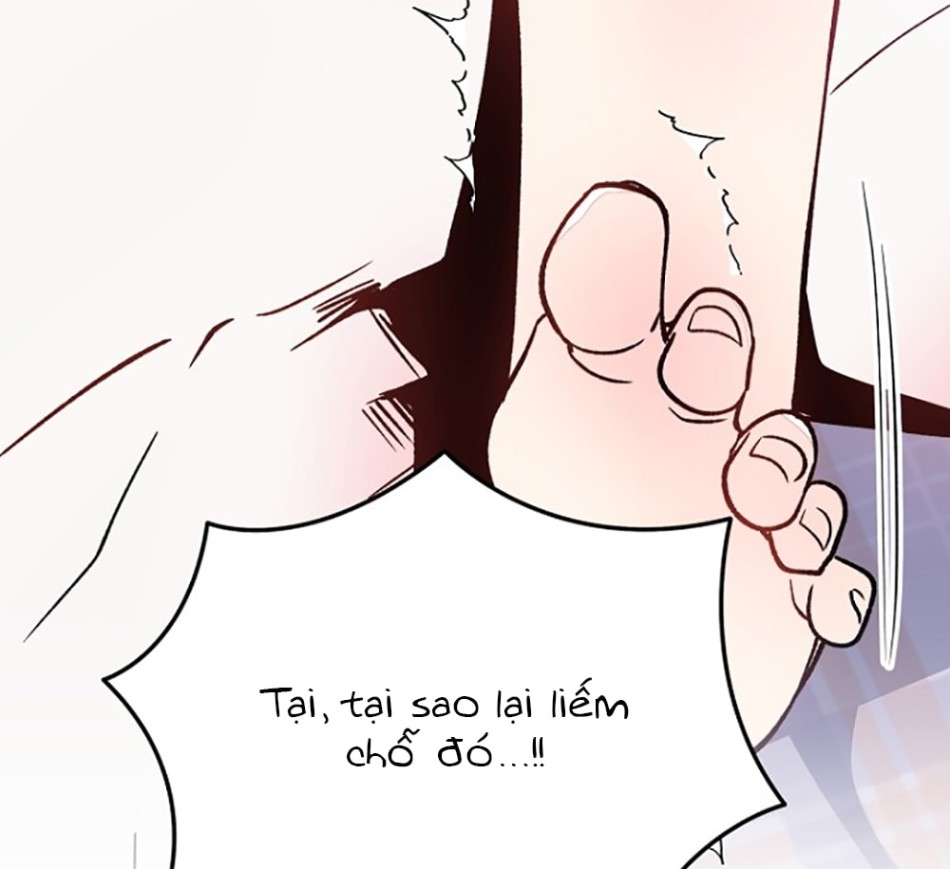 CHÚ CÁ KỲ LẠ 
