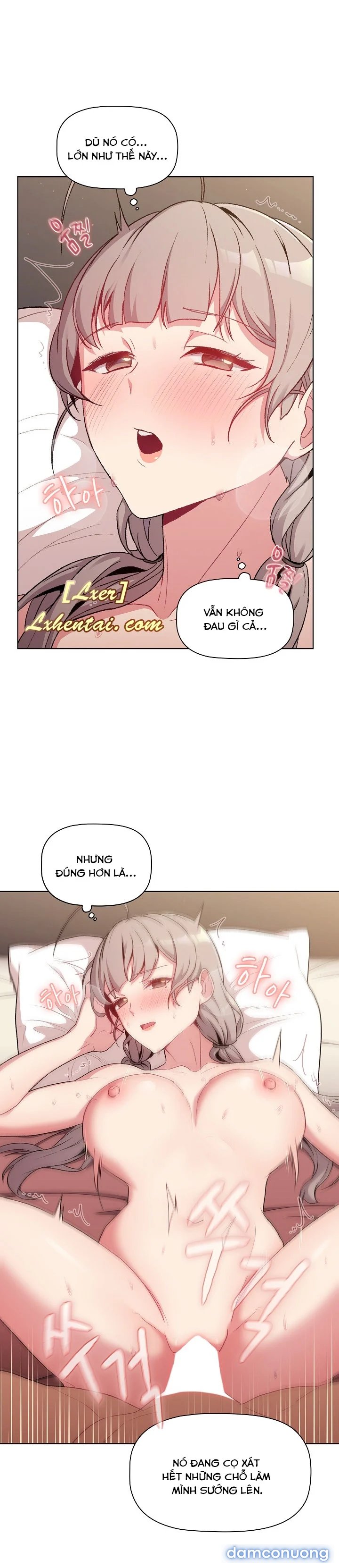 Tôi phải làm gì bây giờ? 