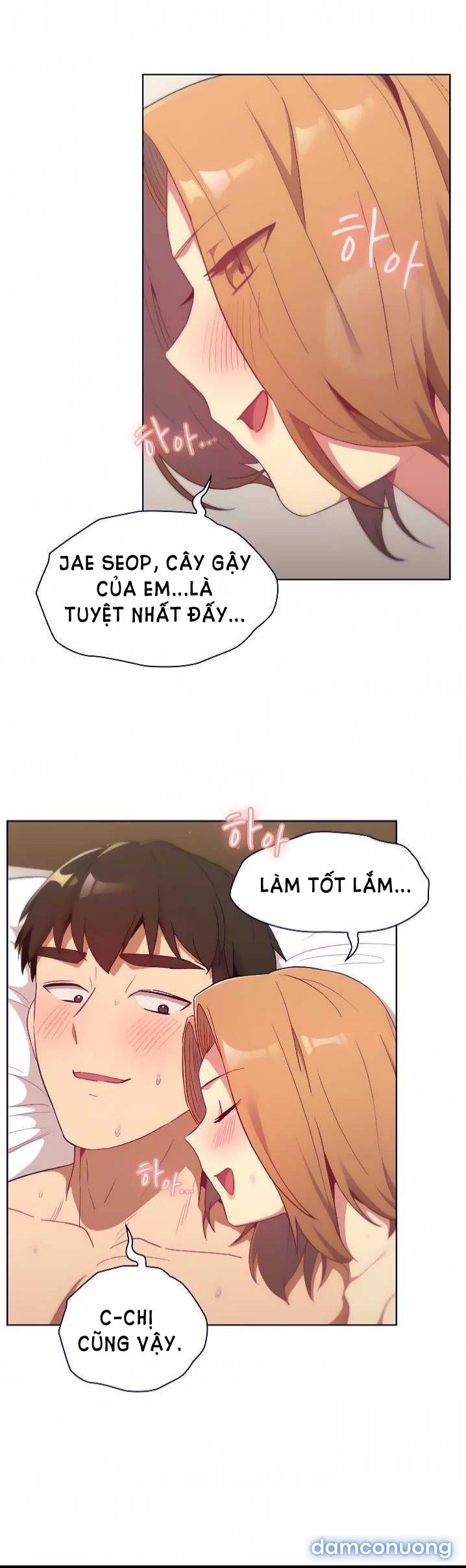 Tôi phải làm gì bây giờ? 