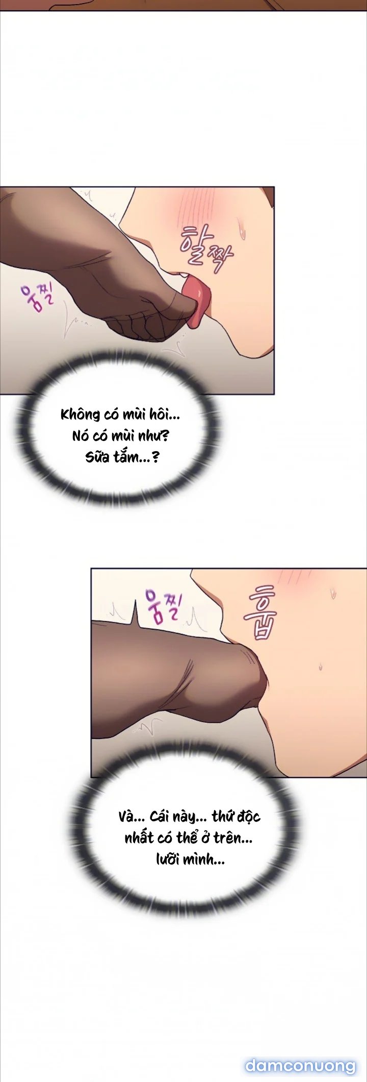 Tôi phải làm gì bây giờ? 