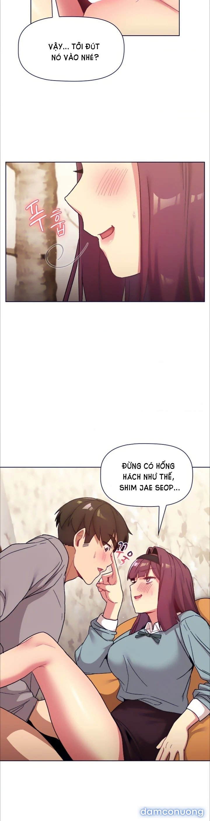 Tôi phải làm gì bây giờ? 