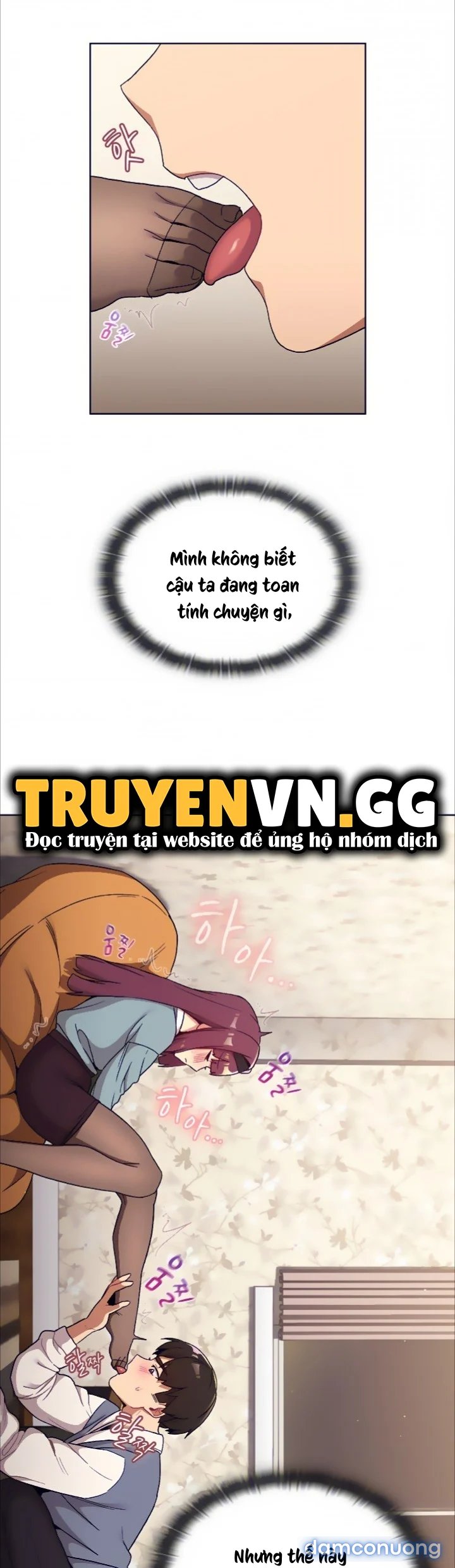 Tôi phải làm gì bây giờ? 
