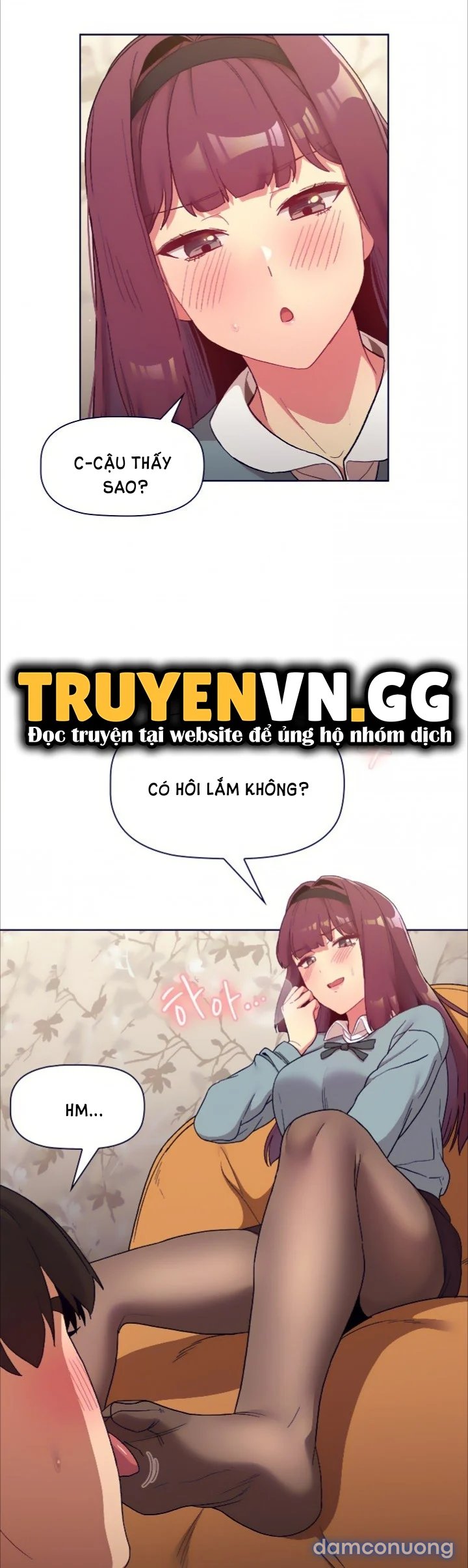 Tôi phải làm gì bây giờ? 