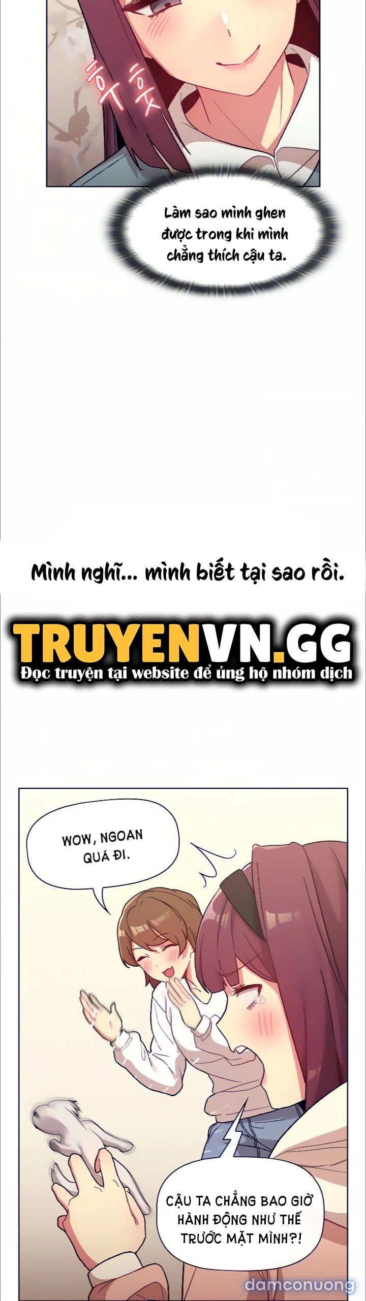 Tôi phải làm gì bây giờ? 