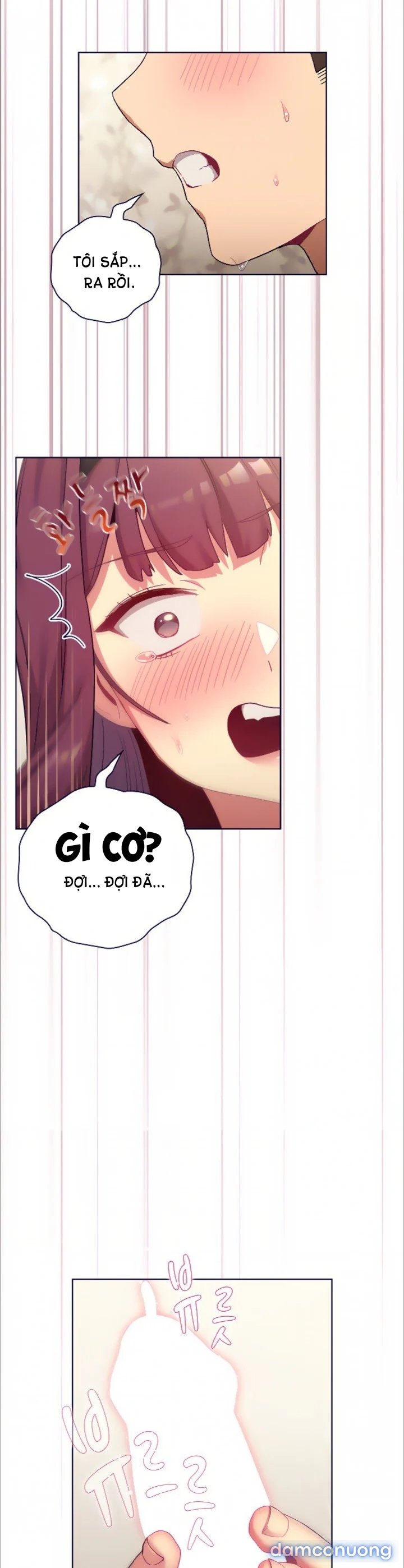Tôi phải làm gì bây giờ? 