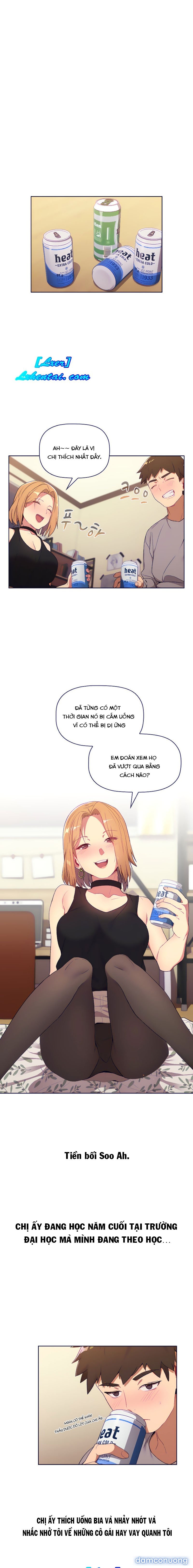 Tôi phải làm gì bây giờ? 