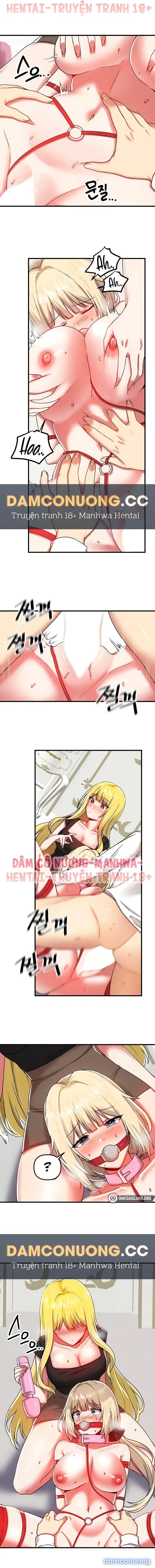 Rơi vào thế giới pháp thuật 