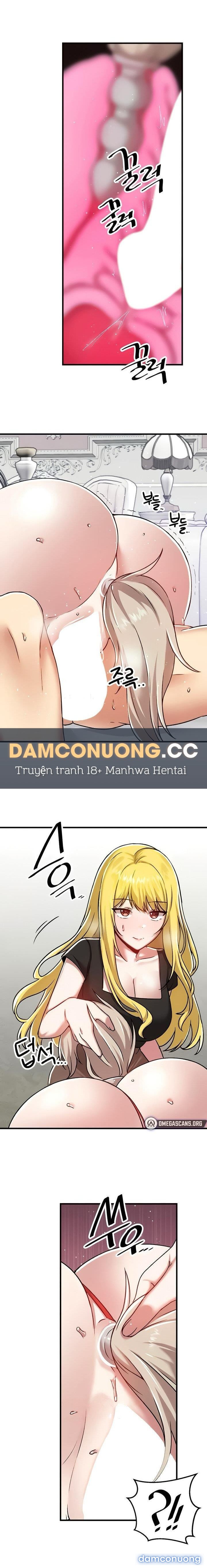 Rơi vào thế giới pháp thuật 