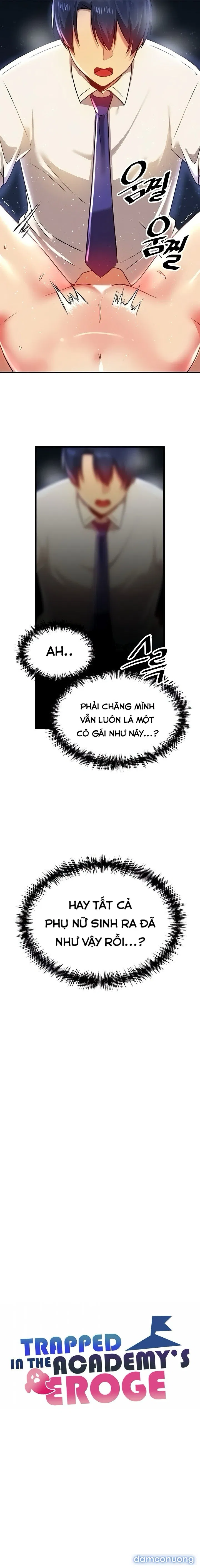Rơi vào thế giới pháp thuật 