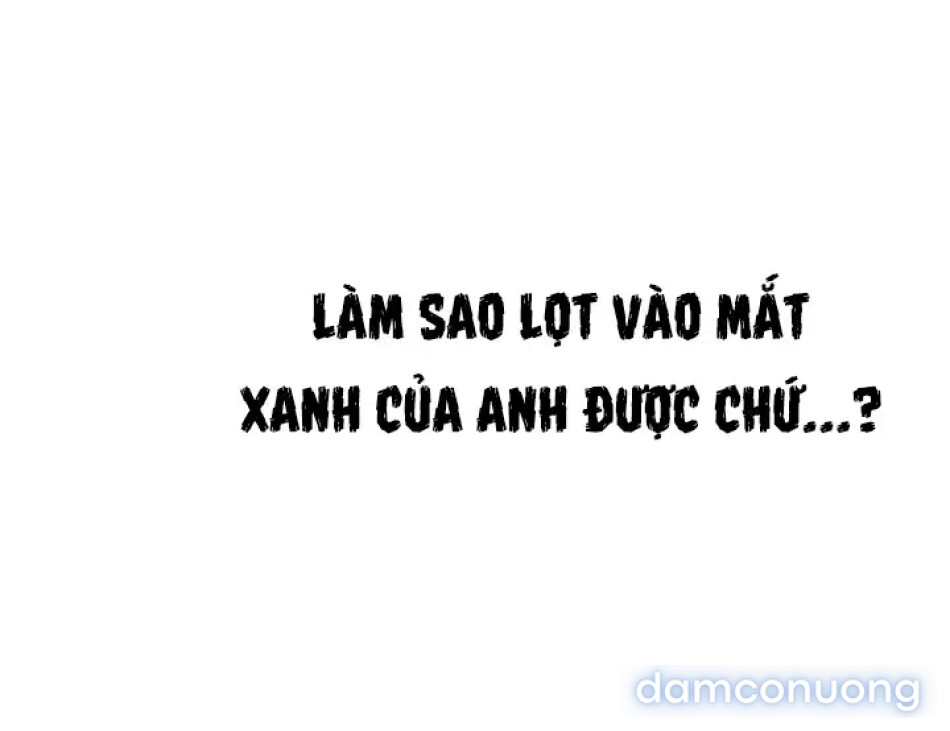HỌA SĨ VẼ TRANH KHIÊU DÂM 