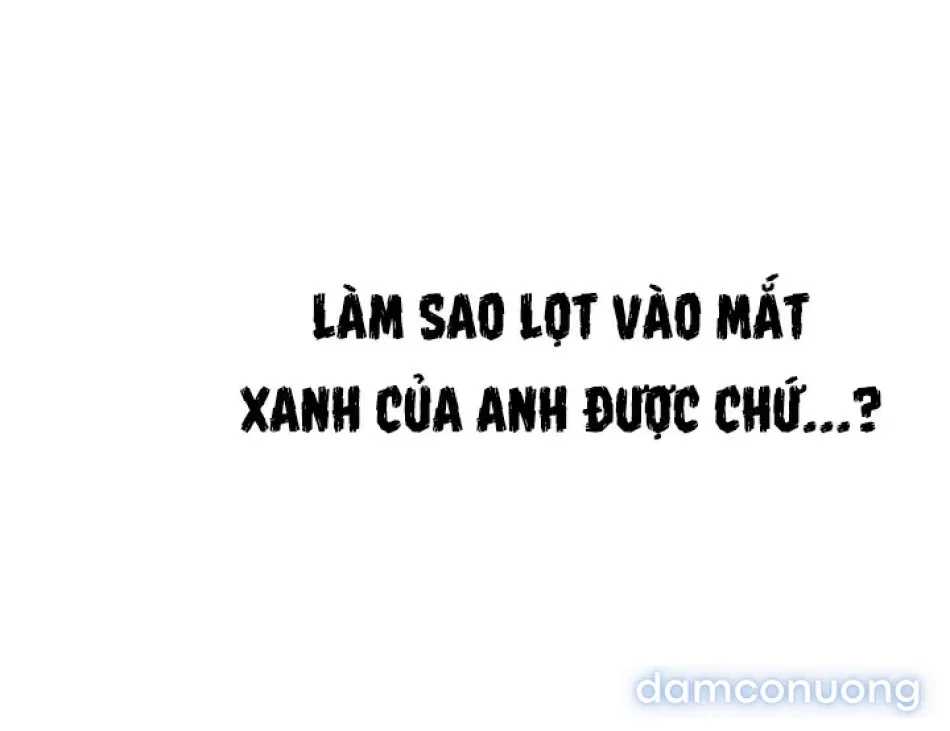 HỌA SĨ VẼ TRANH KHIÊU DÂM 