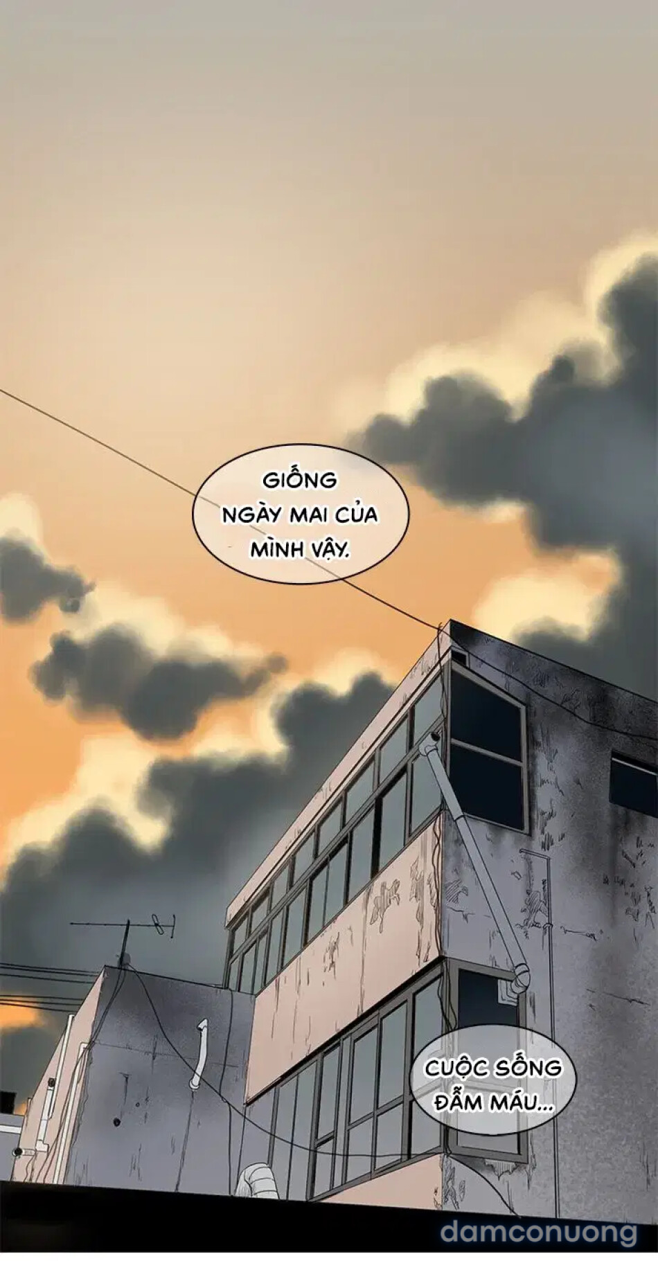 HỌA SĨ VẼ TRANH KHIÊU DÂM 