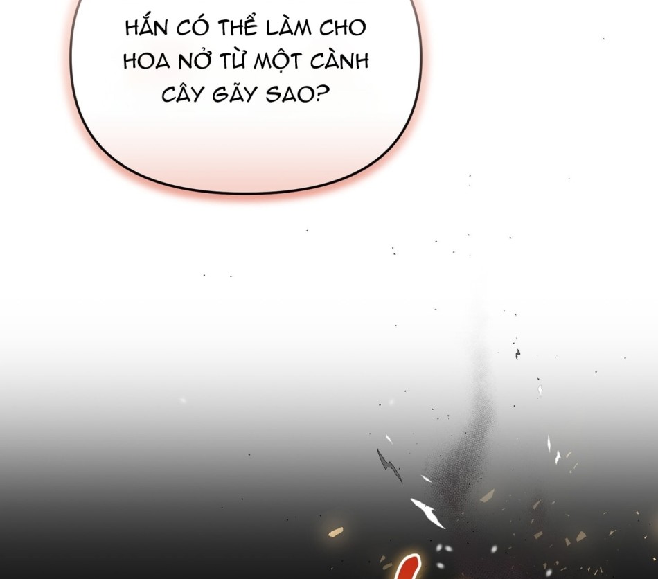 [18+] Quý Phu Nhân Thanh Tao 