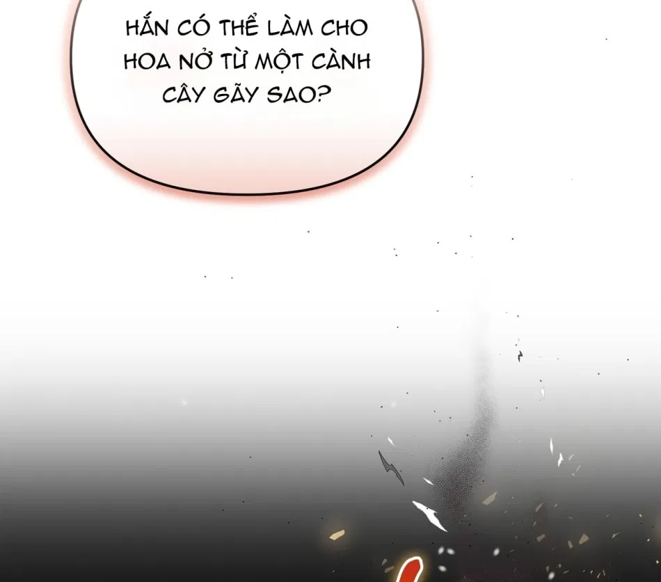 [18+] Quý Phu Nhân Thanh Tao 