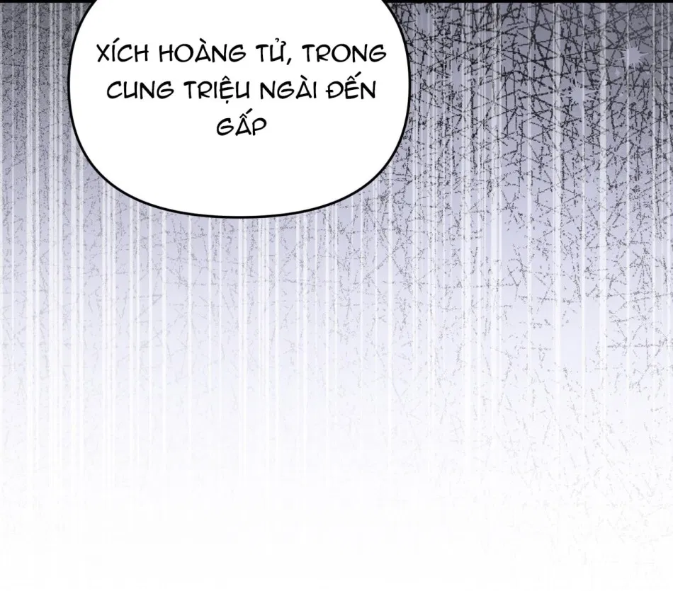 [18+] Quý Phu Nhân Thanh Tao 