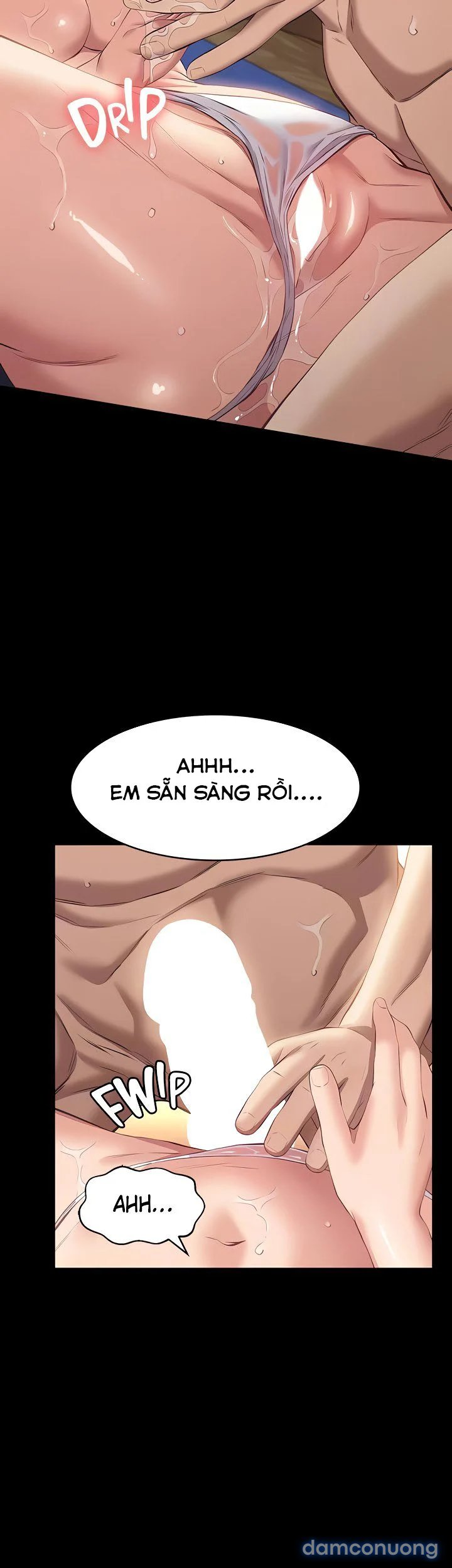 Sơ Yếu Lý Lịch 