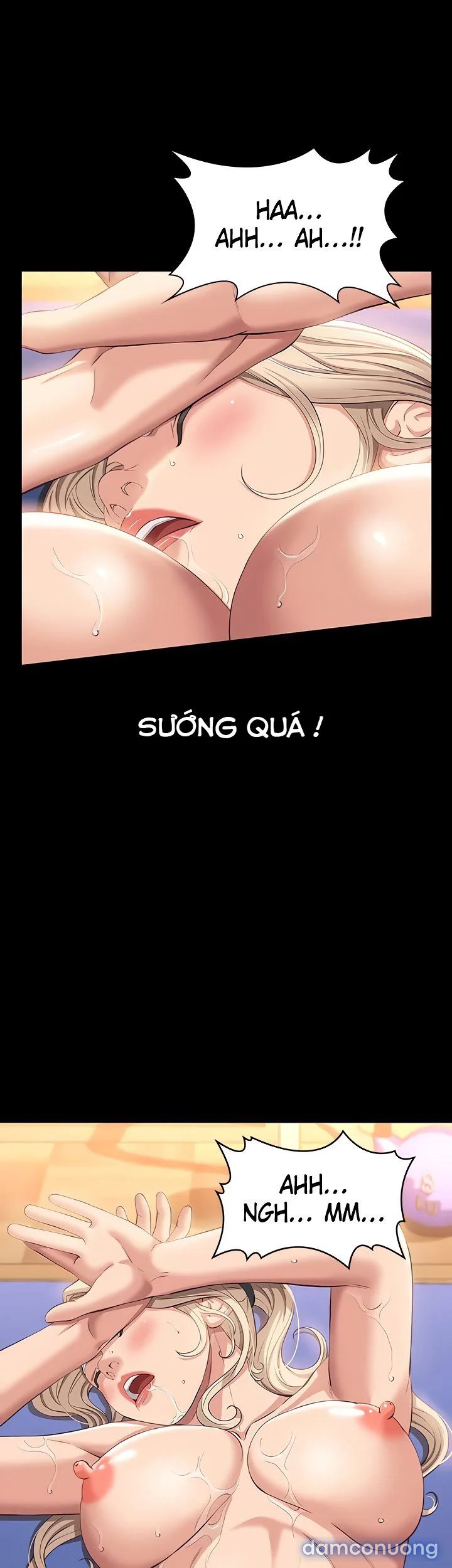 Sơ Yếu Lý Lịch 