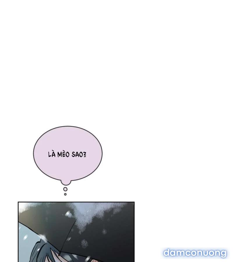 [18+] Trong Nhà Tôi Có Chuột 
