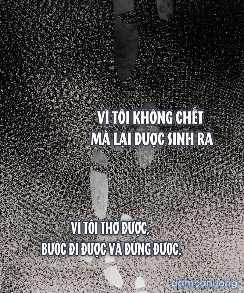 [18+] Trong Nhà Tôi Có Chuột 