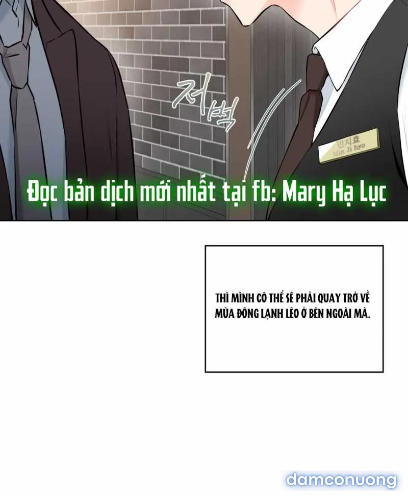 [18+] Trong Nhà Tôi Có Chuột 