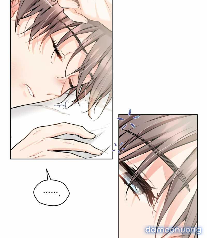 [18+] Trong Nhà Tôi Có Chuột 