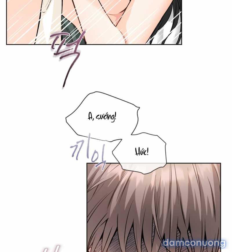 [18+] Trong Nhà Tôi Có Chuột 