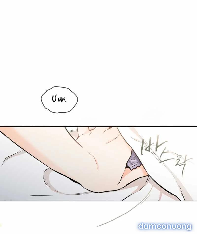 [18+] Trong Nhà Tôi Có Chuột 