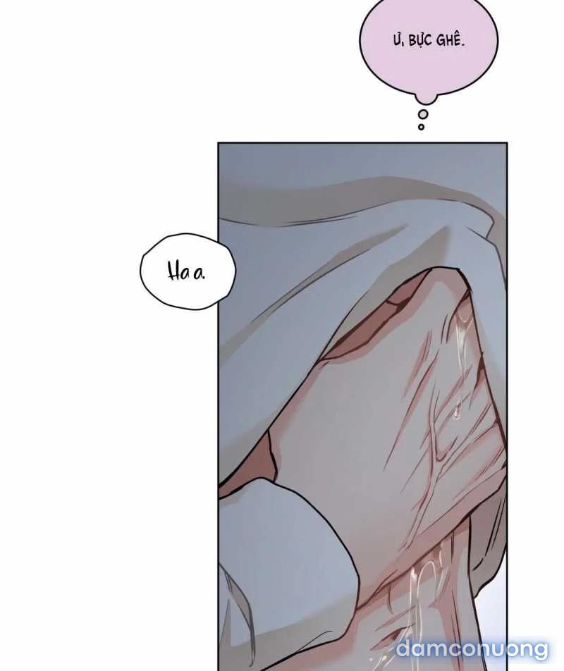 [18+] Trong Nhà Tôi Có Chuột 